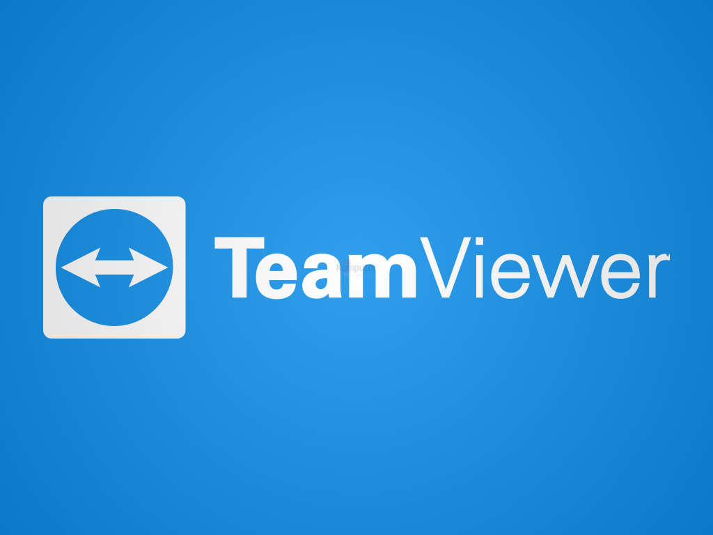  TeamViewer Meeting