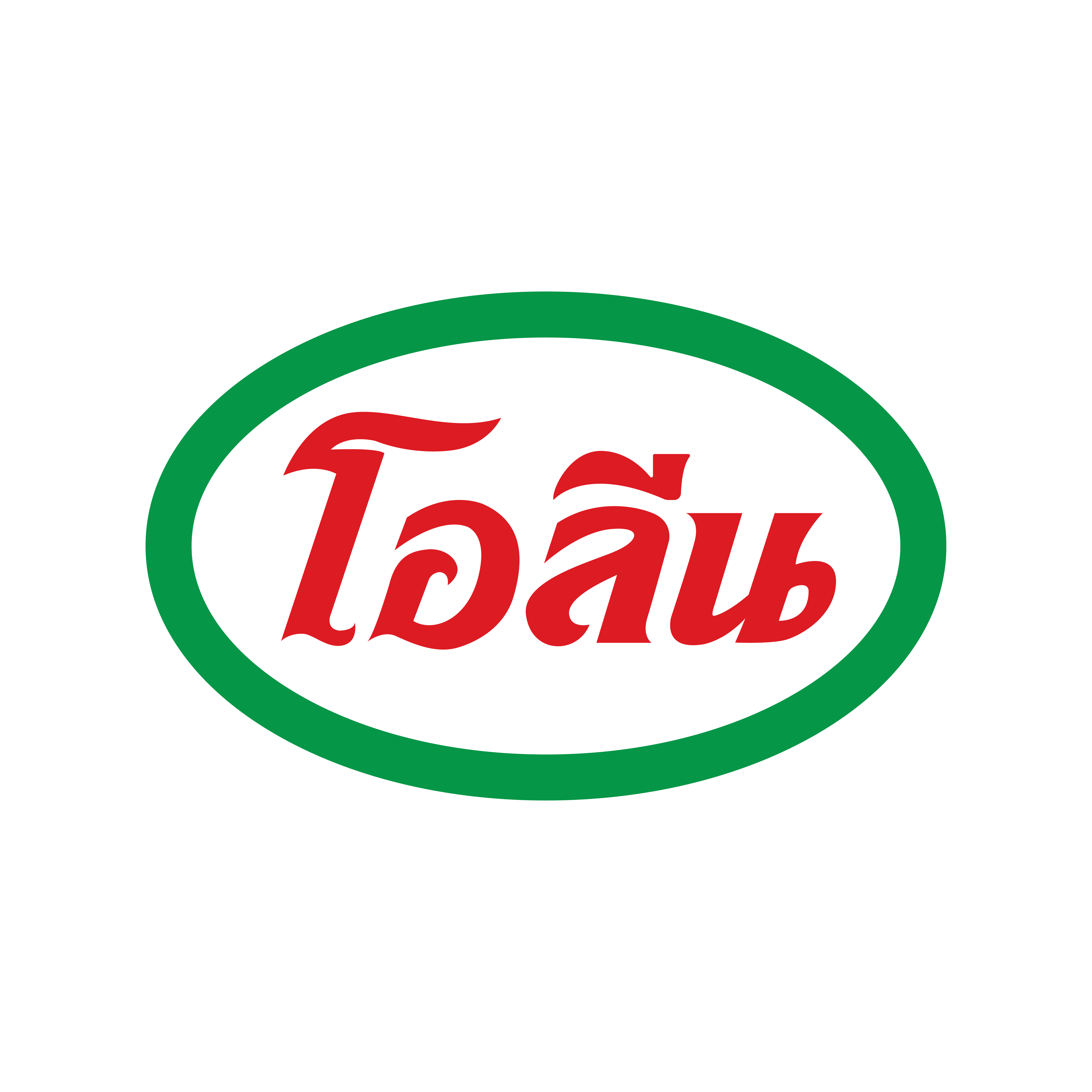 ข้อมูล บริษัท โอลีน จำกัด